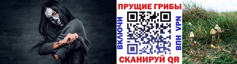 Галлюциногенные грибы MAGIC MUSHROOMS  цены   Губкин 