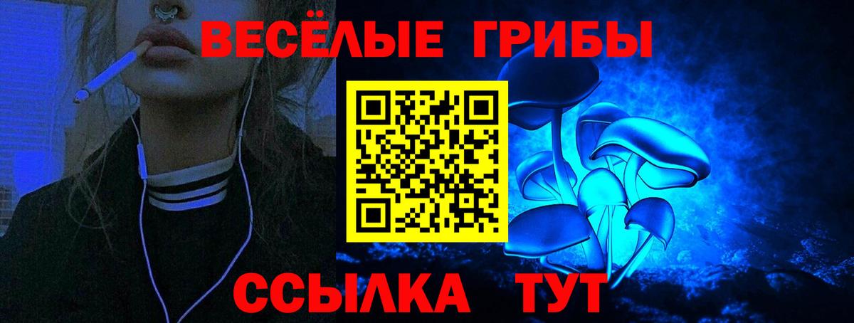 Псилоцибиновые грибы мицелий  Вход с VPN  Губкин 